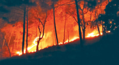 प्रतीकात्मक फोटो